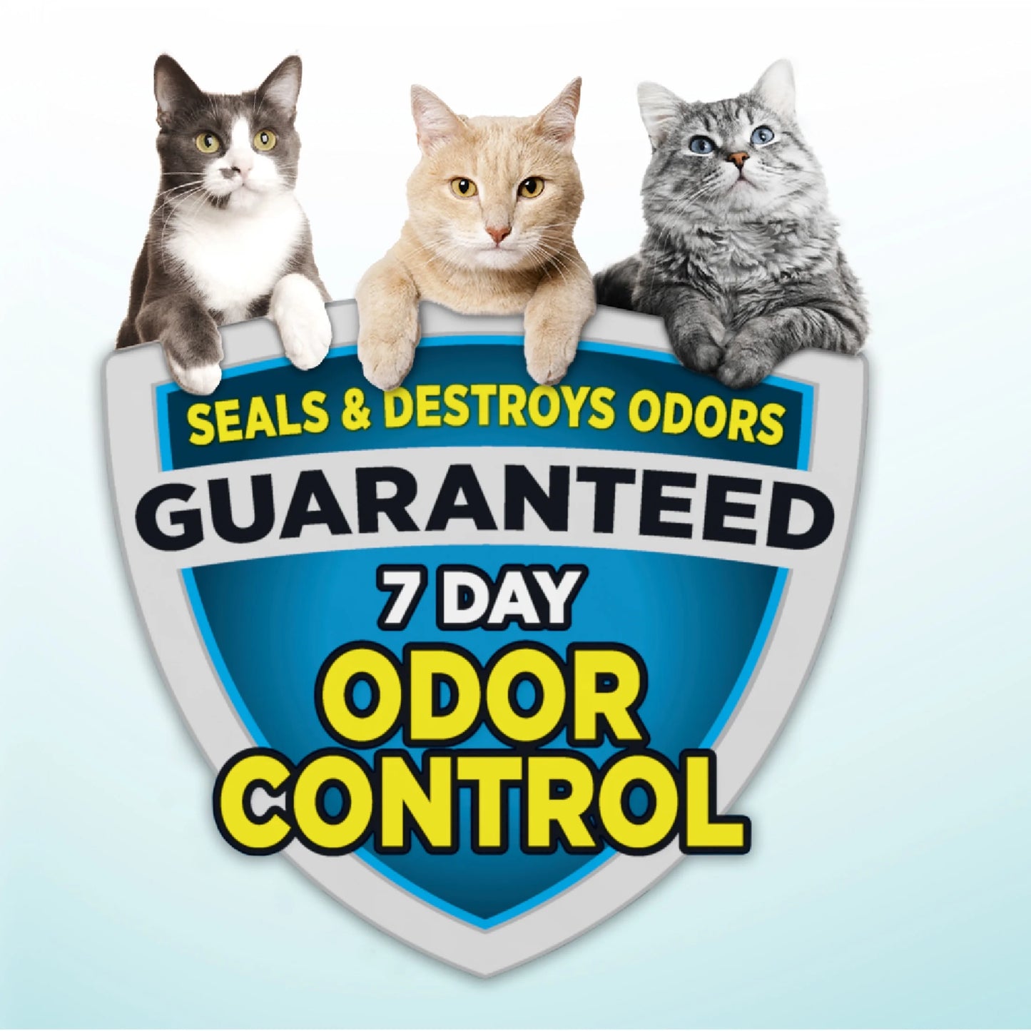 Cloud Control Multi-Cat Clumping Cat Litter with Hypoallergenic Light Scent, 28 Lb