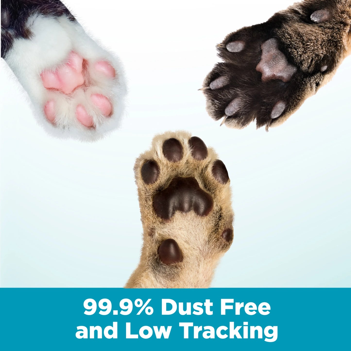 Cloud Control Multi-Cat Clumping Cat Litter with Hypoallergenic Light Scent, 28 Lb