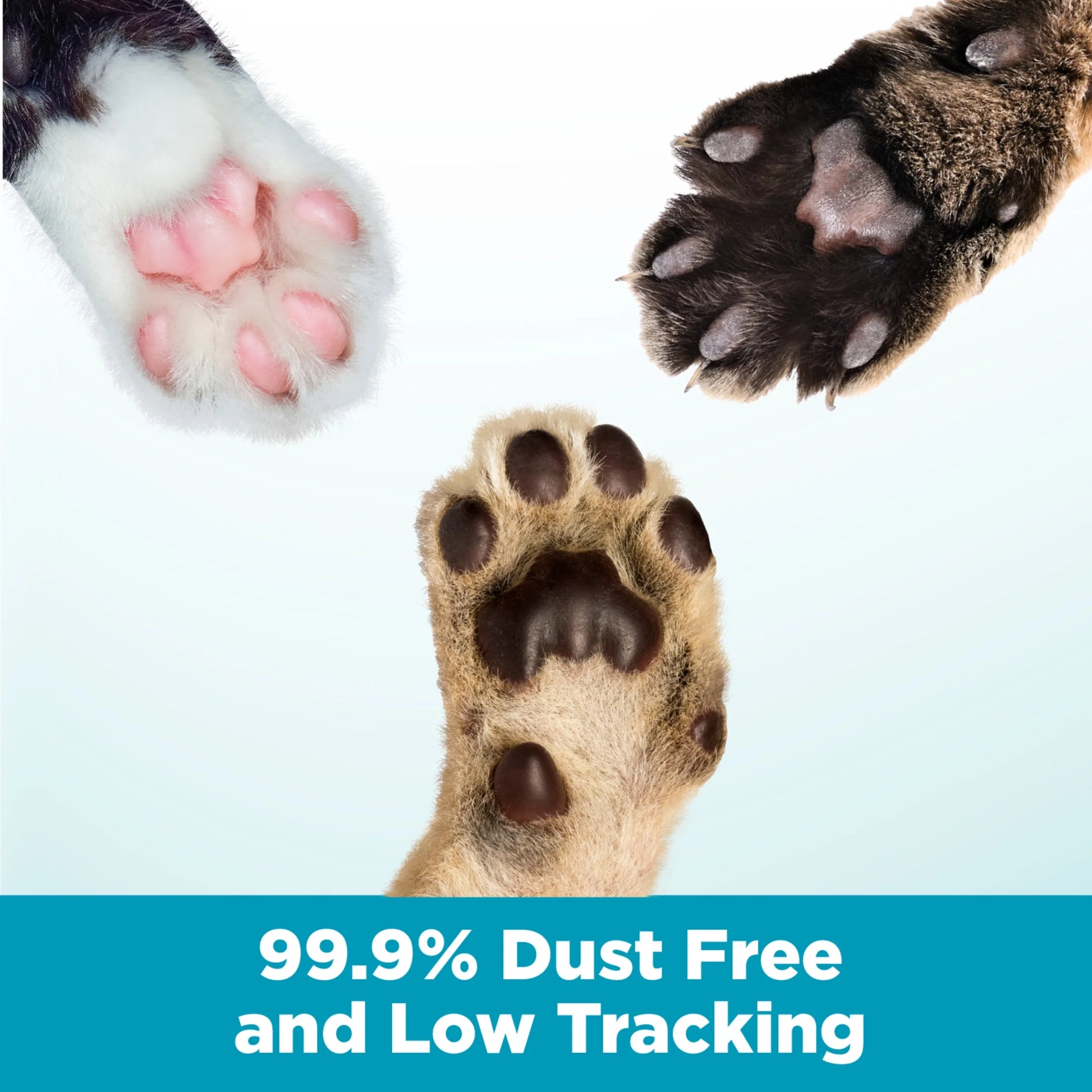 Cloud Control Multi-Cat Clumping Cat Litter with Hypoallergenic Light Scent, 28 Lb