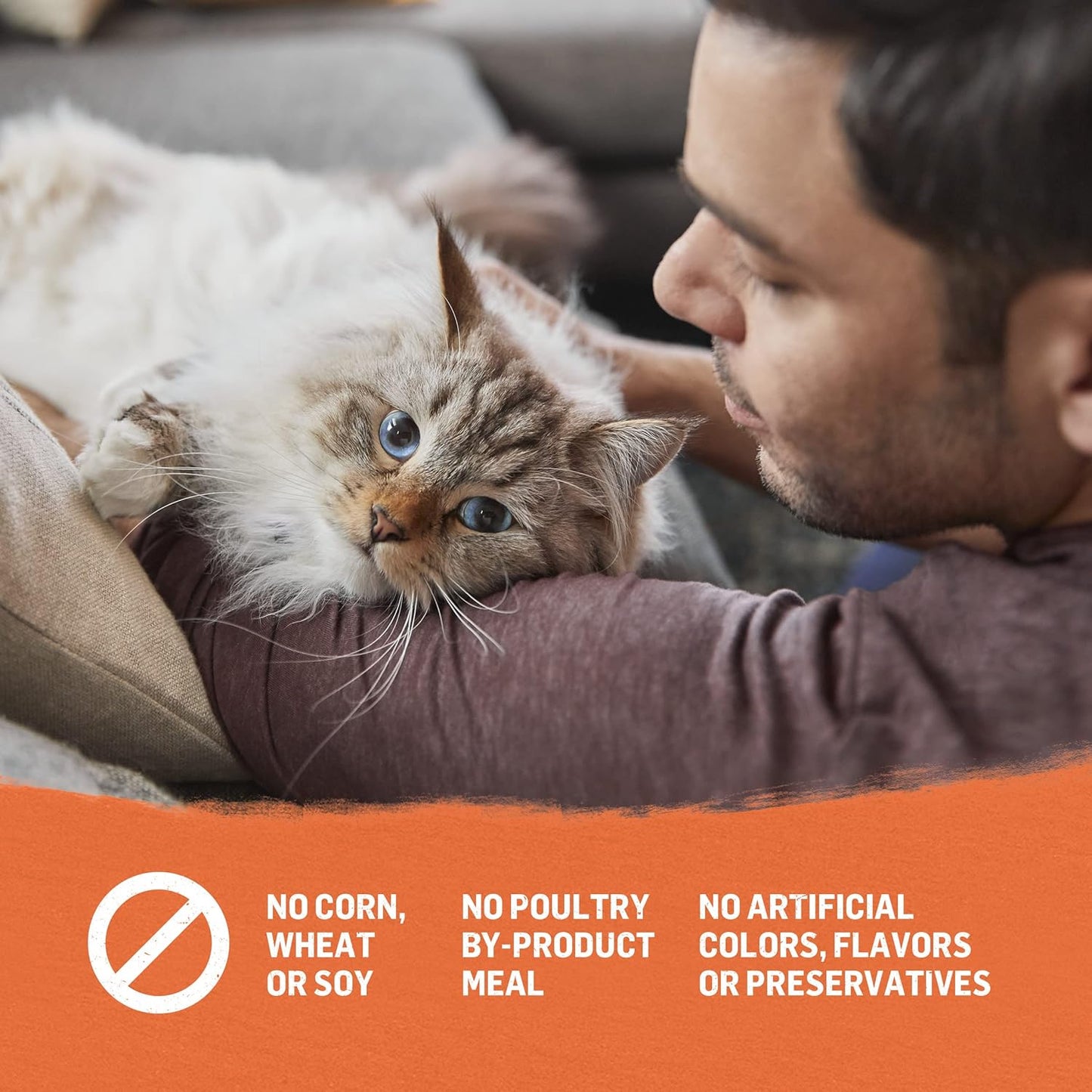 Purina High Protein Adult Dry Cat Food, Organic Chicken, Egg & Sweet Potato Recipe - 12 Lb. Bag