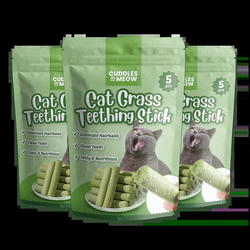 Cat Grass Teething Sticks