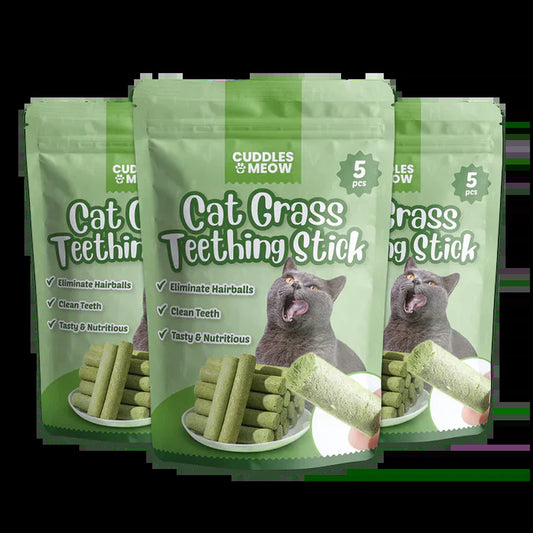 Cat Grass Teething Sticks