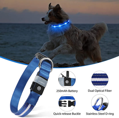 Led Dog Collar-Rechargeable Light up Dog Collars Water-Resistant Lighted Dog Collar Flashing Glowing Dog Collar Night Walking Collar for Dogs