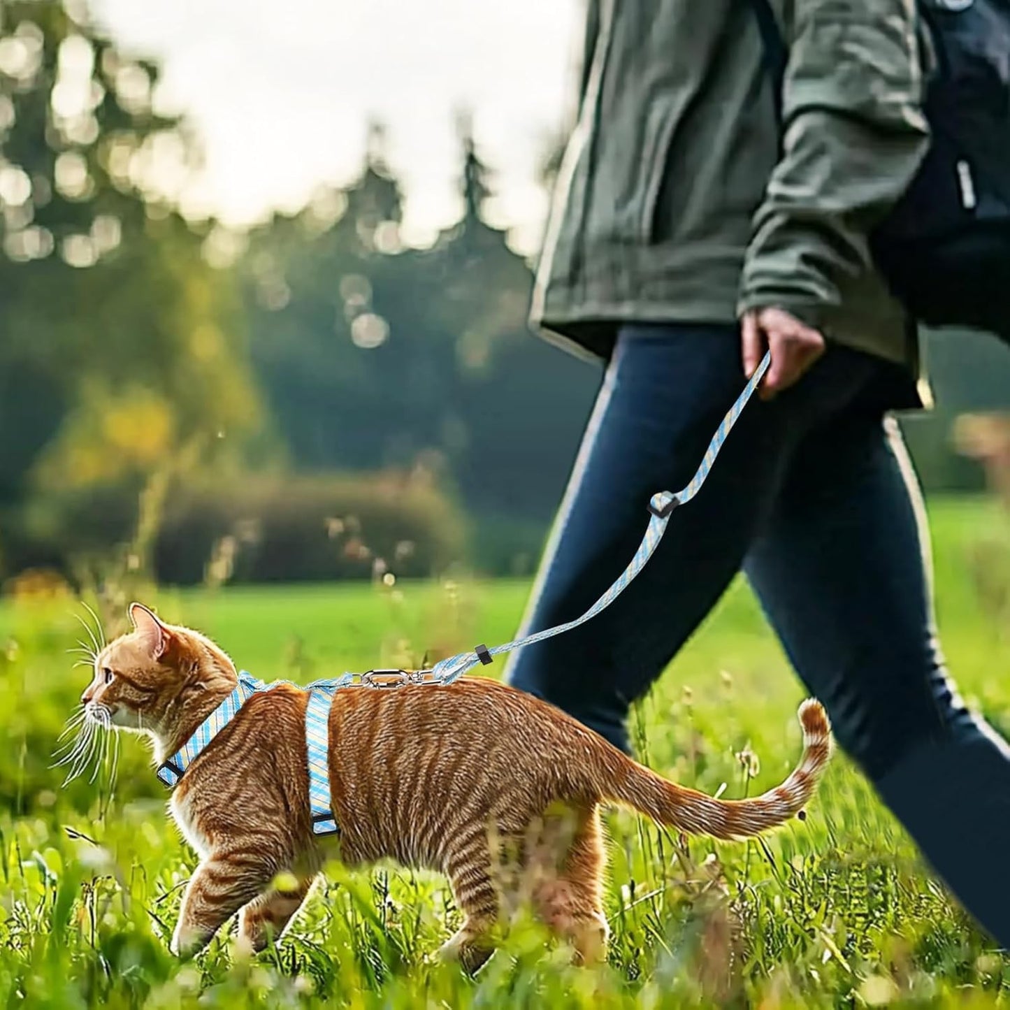 "Cat Harness & Leash Set Adjustable Escape-Proof Soft Kitten Stripes"