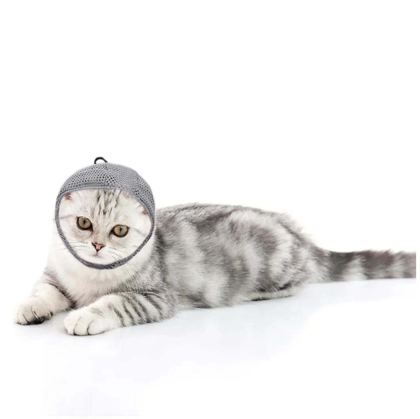 Cat anti - Bite Face Mask - Transparent & Breathable Cat Muzzle for Grooming
