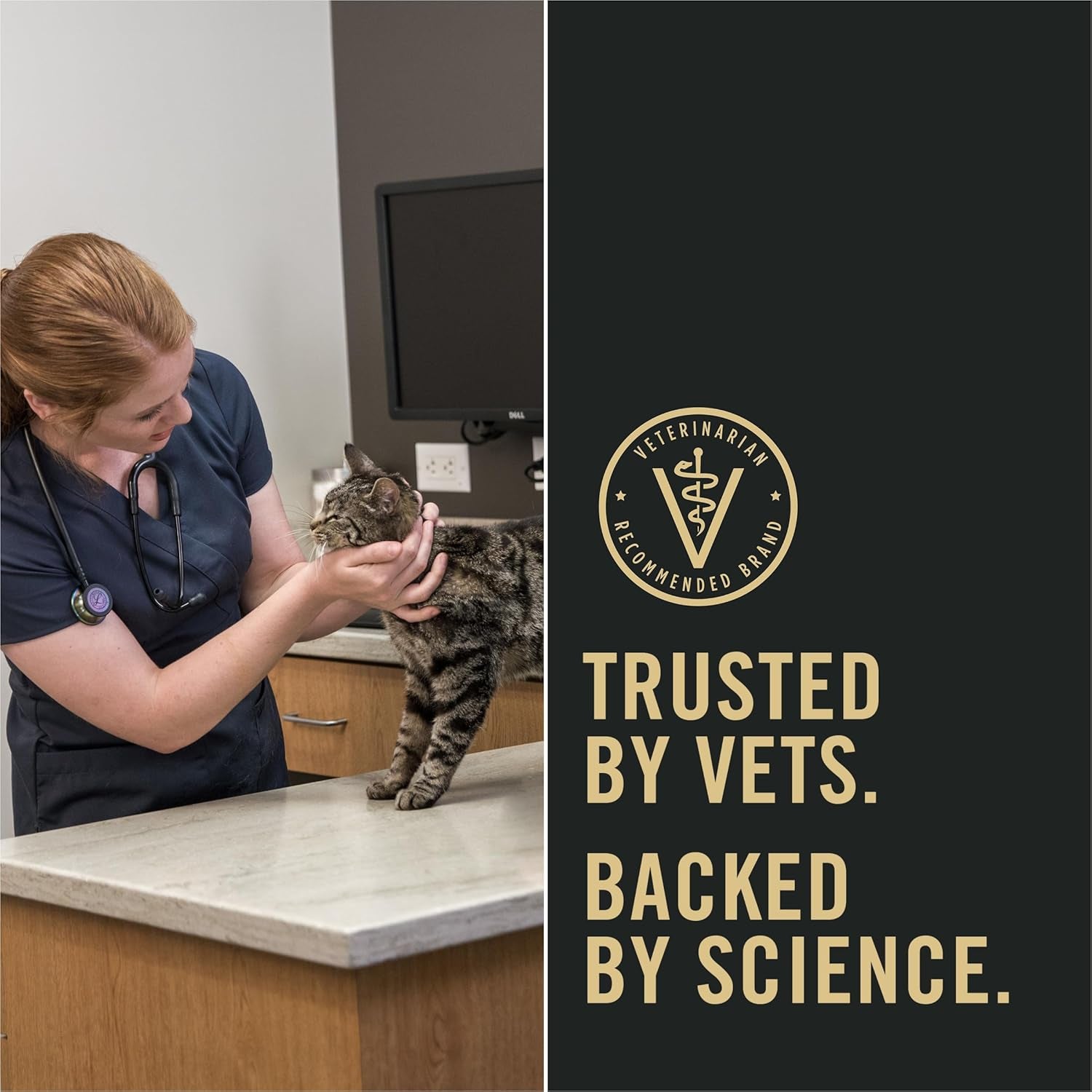 Liveclear Senior Cat Food 7+ Cat Allergen Reducer Prime plus Chicken and Rice Formula - 5.5 Lb. Bag