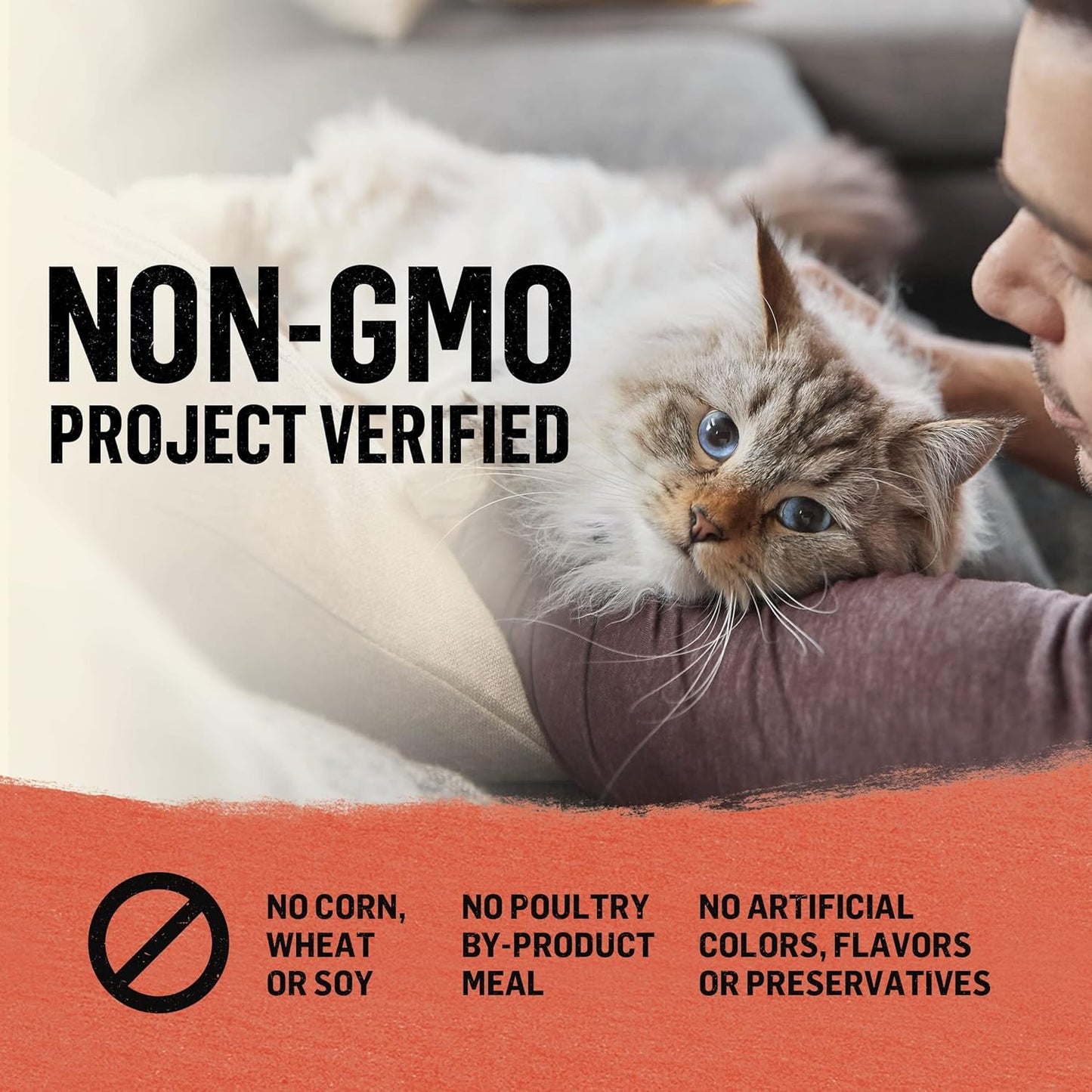 Organic Wet Cat Food Pate, Organic Chicken & Sweet Potato Adult Recipe - (Pack of 12) 3 Oz. Cans