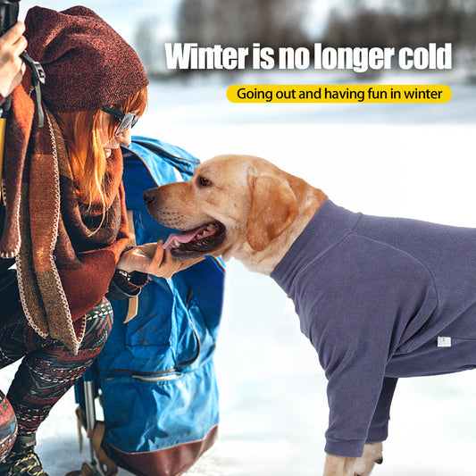 Warm and protective clothing for Doberman Pinschers at home