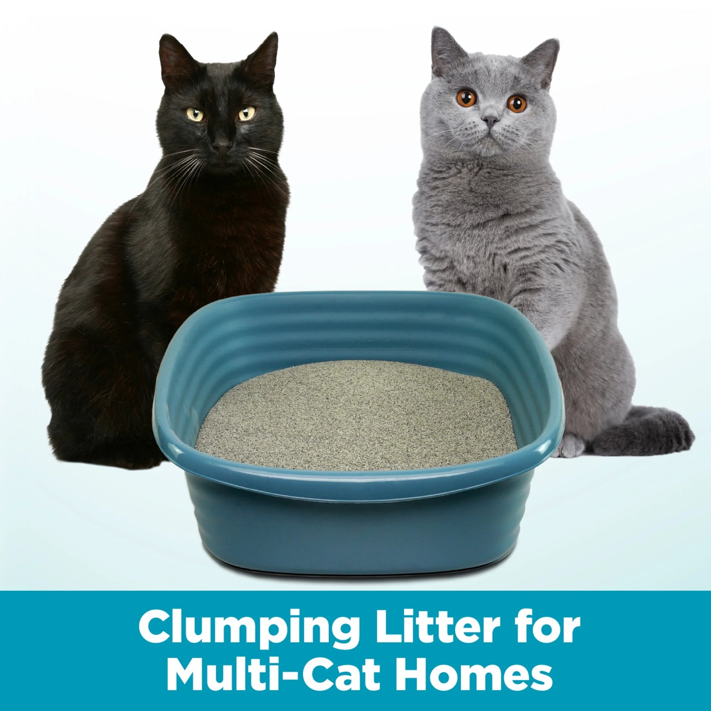 Cloud Control Multi-Cat Clumping Cat Litter with Hypoallergenic Light Scent, 28 Lb