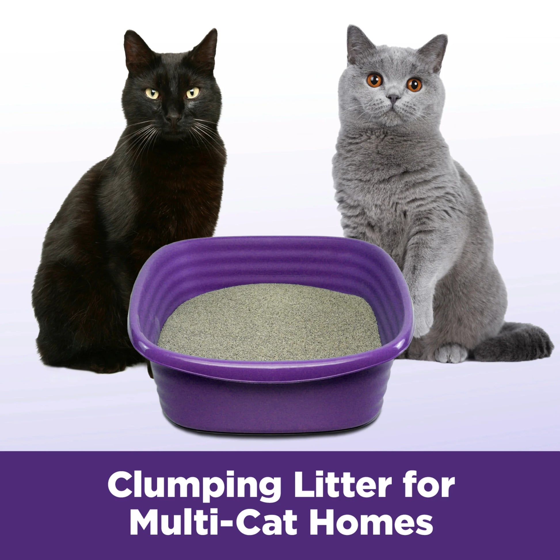 Clump & Seal SLIDE Cat Litter, Easy Clean-Up Multi-Cat Clumping Litter, 14 Lbs