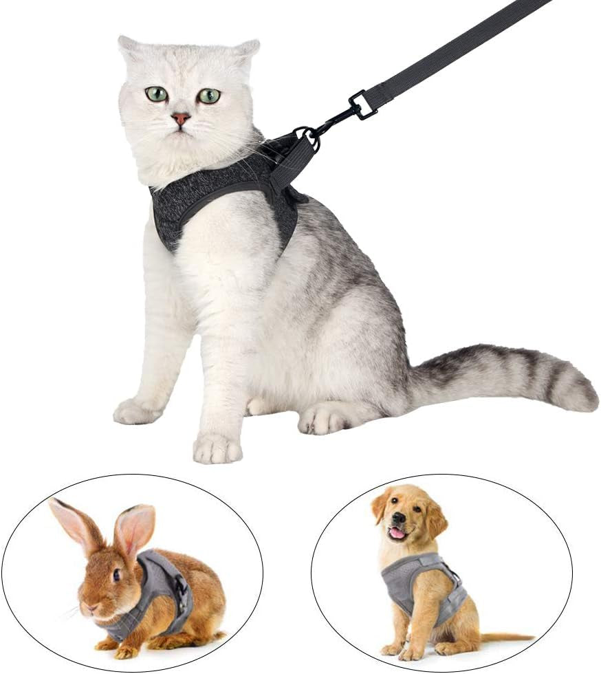 Cat Harness and Leash - Ultra Light Escape Proof Kitten Collar Cat Walking Jacket with Running Cushioning Soft and Comfortable Suitable for Puppies Rabbits