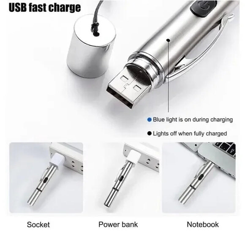 2 Pcs USB Rechargeable Laser Pointer Pen Cat Pet Toy Red Green UV Flashlight