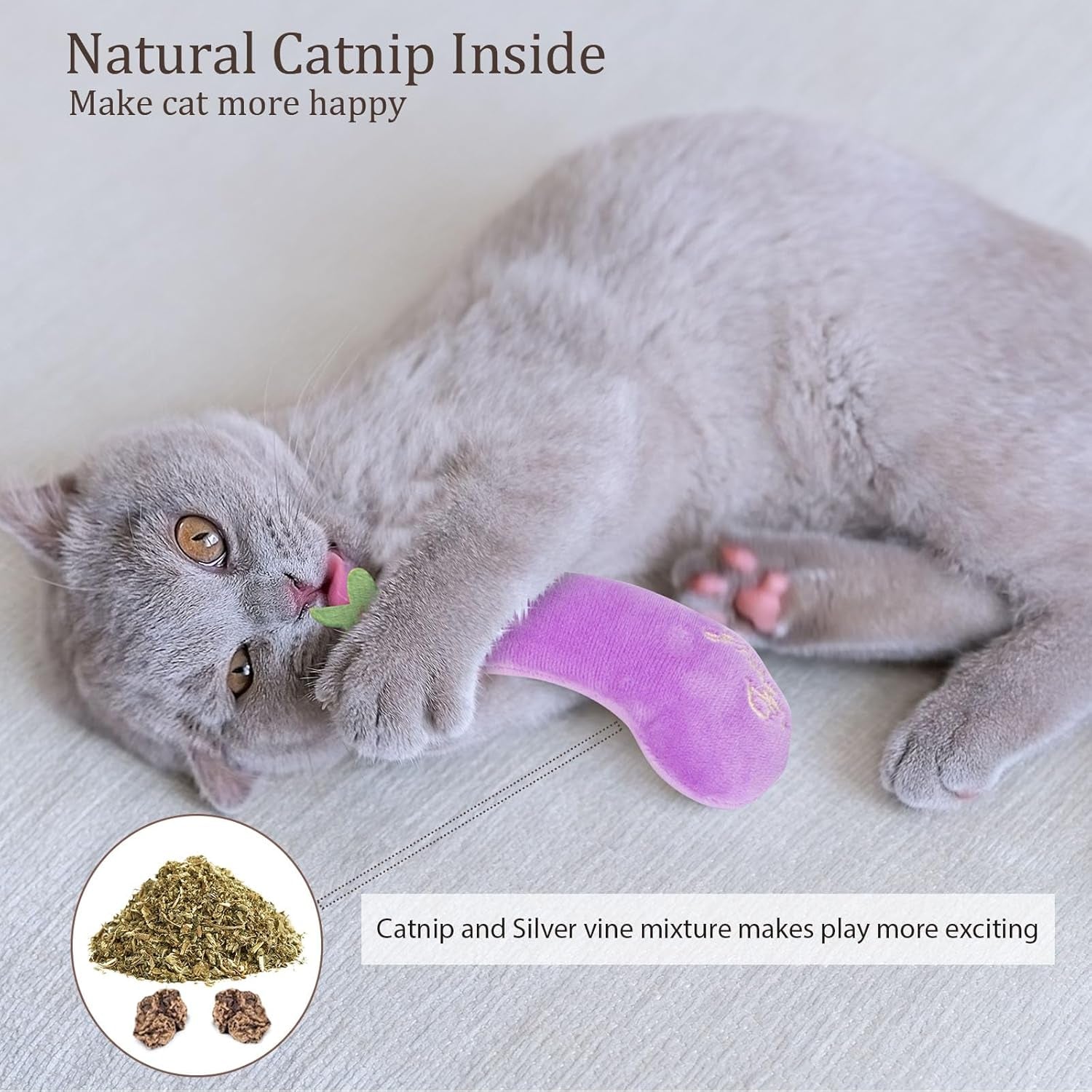 Catnip Cat Toys, Cat Nip Kitten Toy for Indoor Cats Kitty Kicker, Durable Kitten Teething Chew Toys, 5 Pack, Vegetable Shape