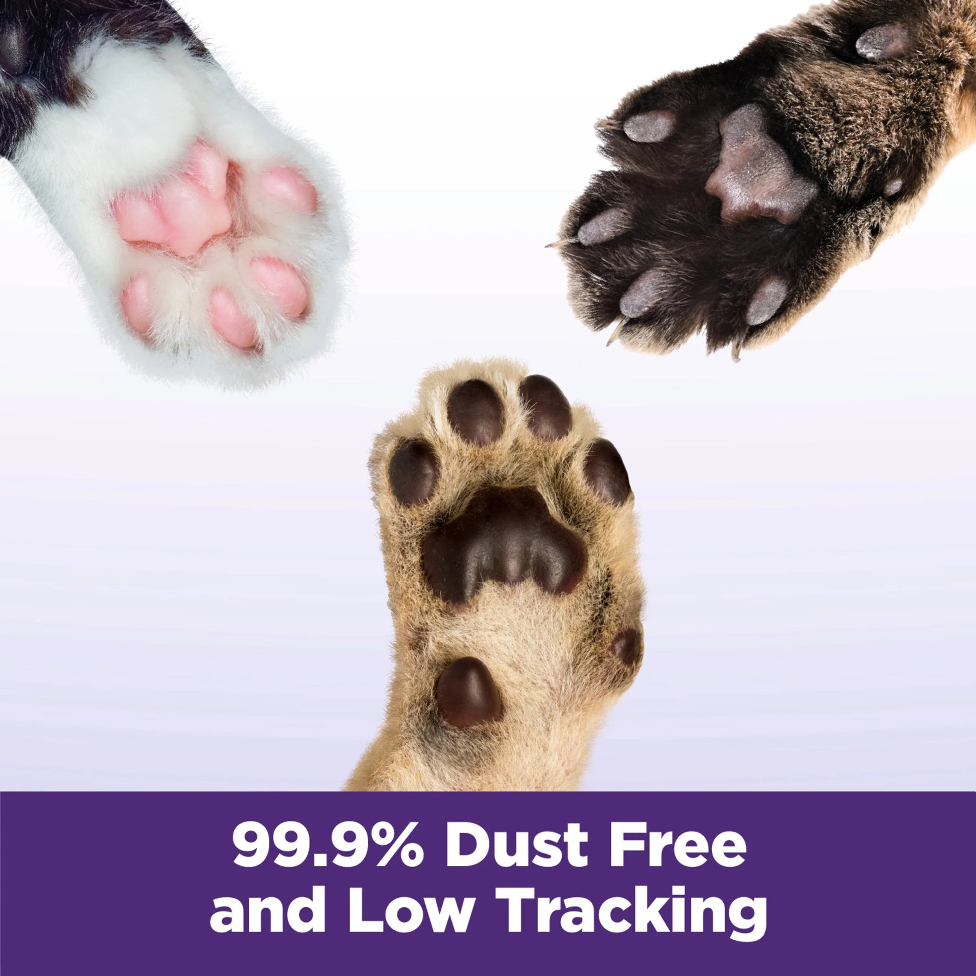 Clump & Seal SLIDE Cat Litter, Easy Clean-Up Multi-Cat Clumping Litter, 14 Lbs